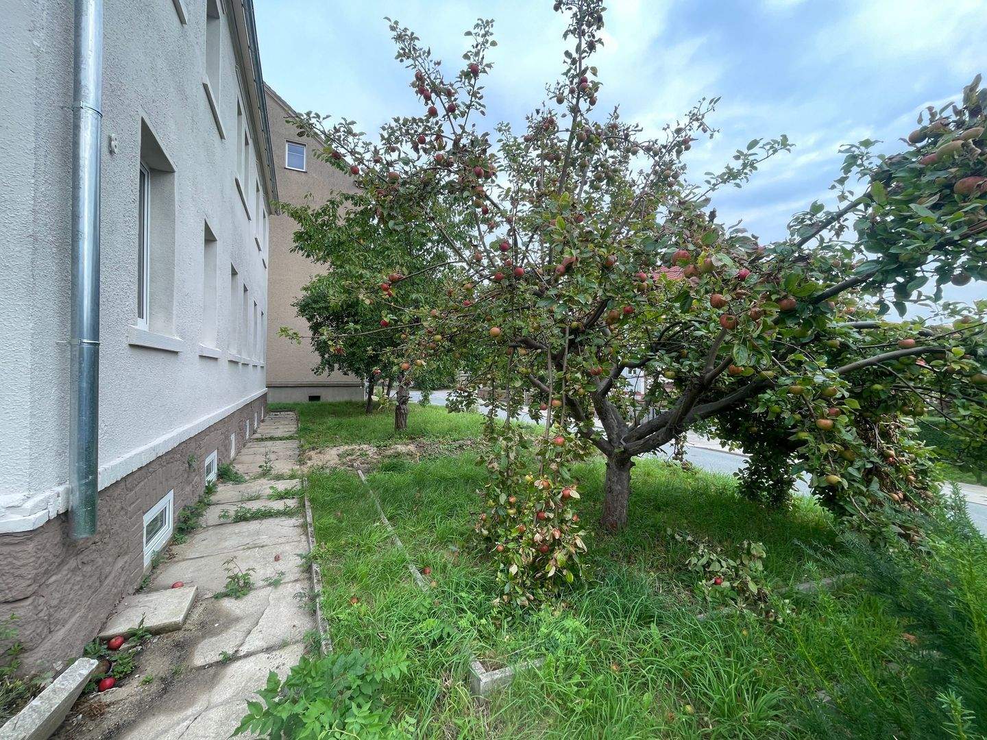Einfamilienhaus zum Ausbau - Freie Wahl der Ausstattung für individuelles Wohnen – Löbau – Vorschaubild 4