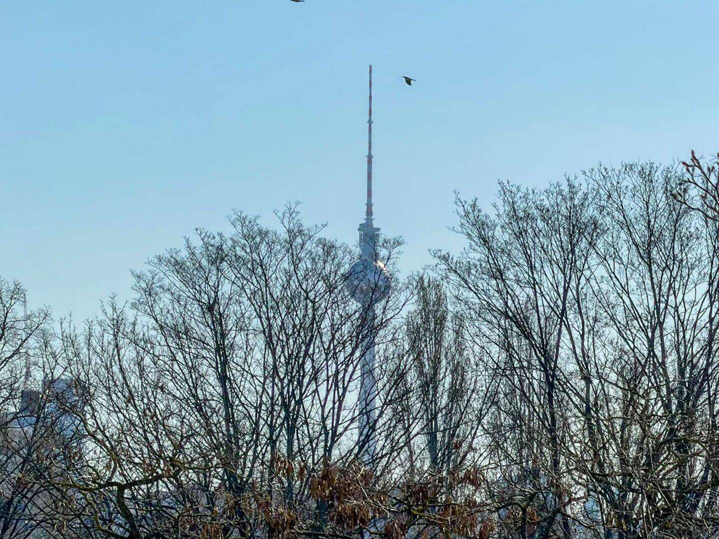 Fernblick bis zum Fernsehturm - helle Wohnung in Toplage – Berlin – Vorschaubild 3