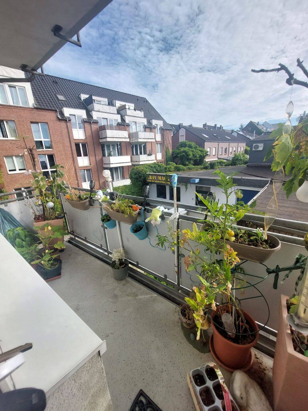 Charmante 3-Zimmer-Wohnung mit Balkon in zentraler Lage – Solide Kapitalanlage mit langjähriger Mieterin