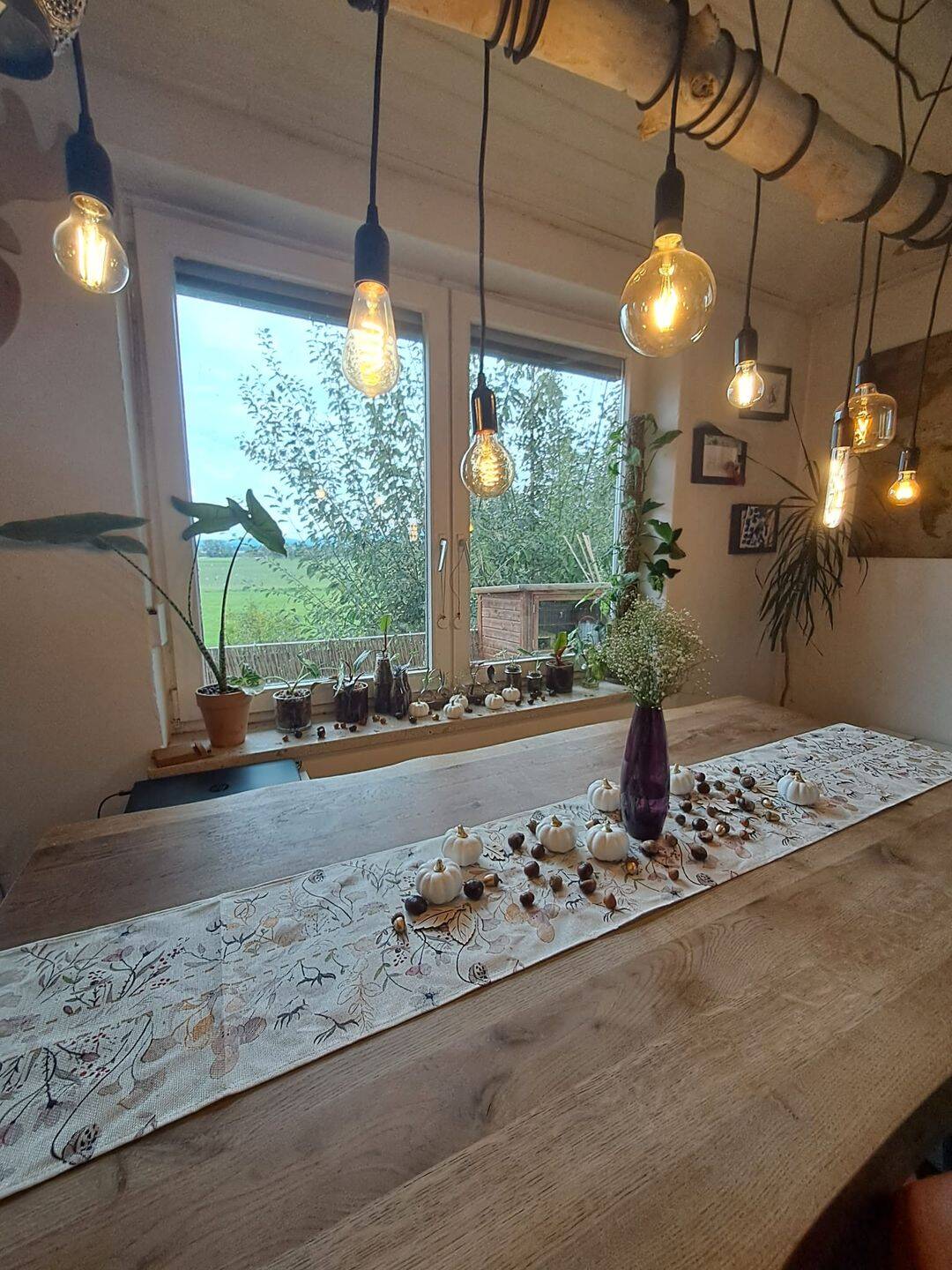 EFH fast in Alleinlage mit unverbaubarem Blick, Selbstversogergarten mit Scheune – Stephansposching – Vorschaubild 9