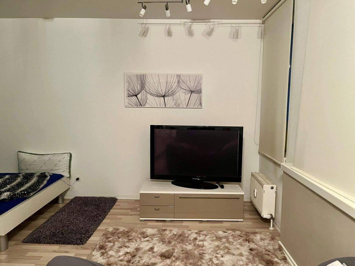 Wertbeständige Kapitalanlage in zentraler Lage | Möblierte 1-Zimmer-Wohnung – Fürth – Vorschaubild 9