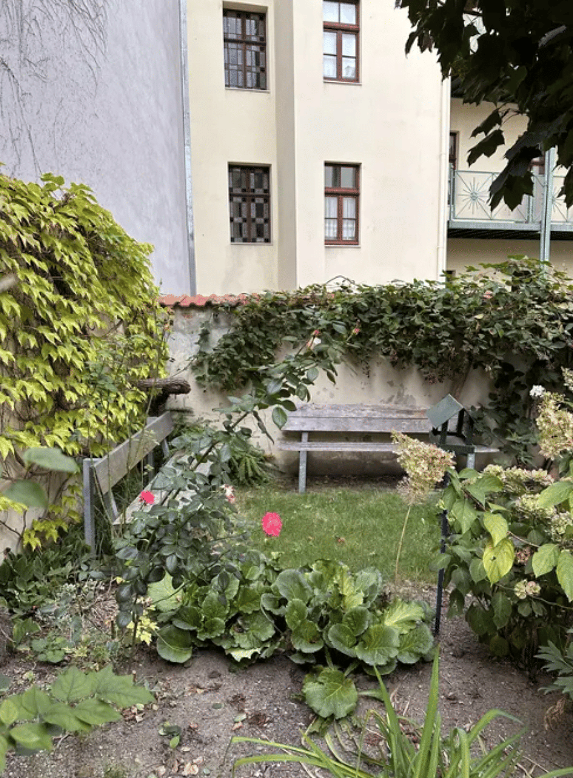 Mehrfamilienhaus in 02826 Görlitz mit 814 m² kaufen
