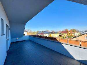 Exklusives Einfamilienhaus in Bestlage Dresdens mit Einliegerwohnung – 1239 Dresden – Vorschaubild 7