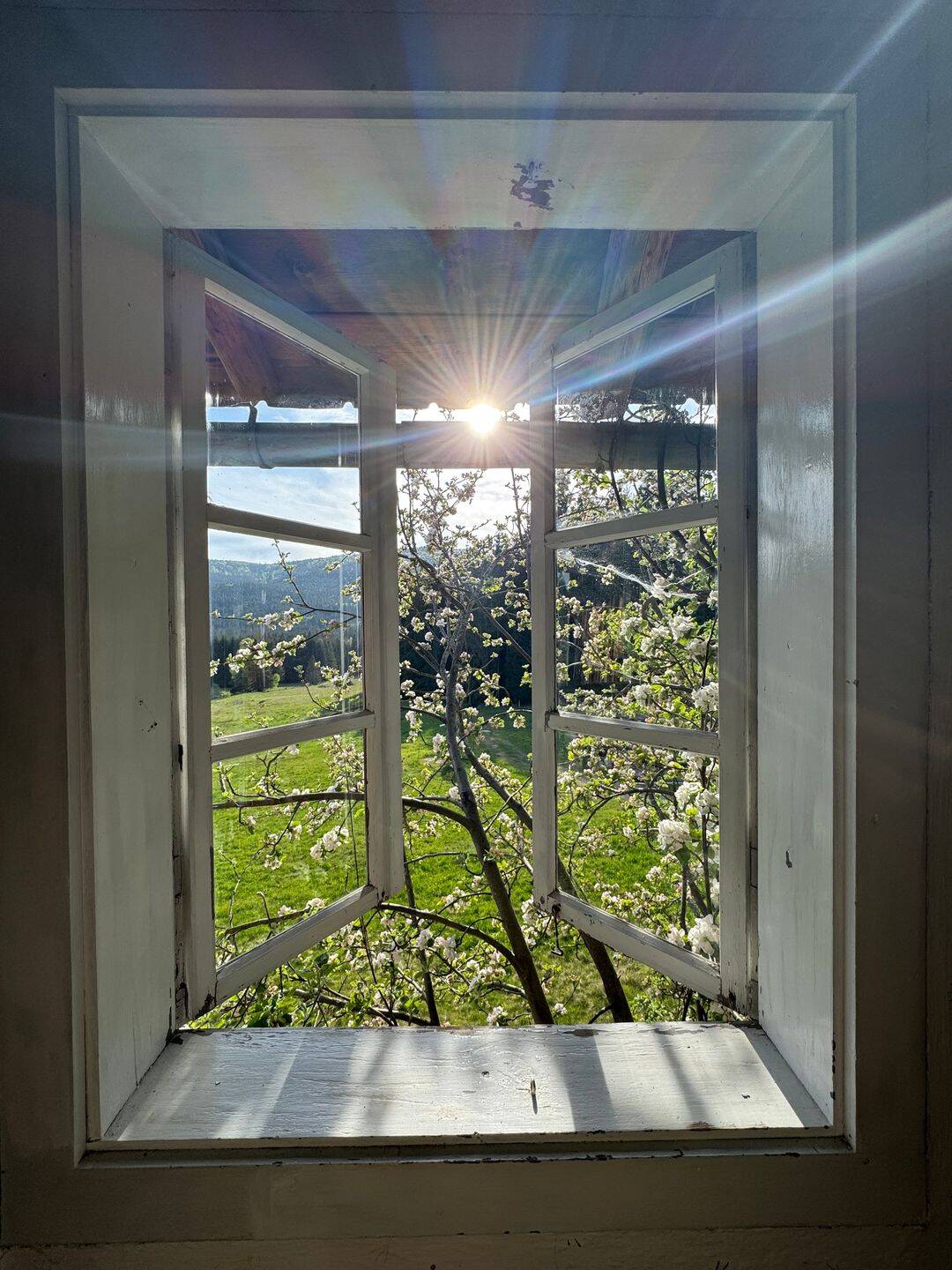 Rohdiamant in Alleinlage · Bauernhaus mit großem Grundstück am Nationalpark Bayerischer Wald – Mauth – Vorschaubild 6