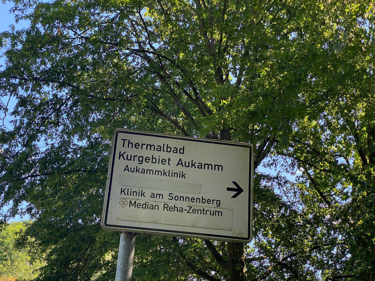 sehr großes Neubauhaus mit exklusiver Ausstattung – Wiesbaden – Vorschaubild 4