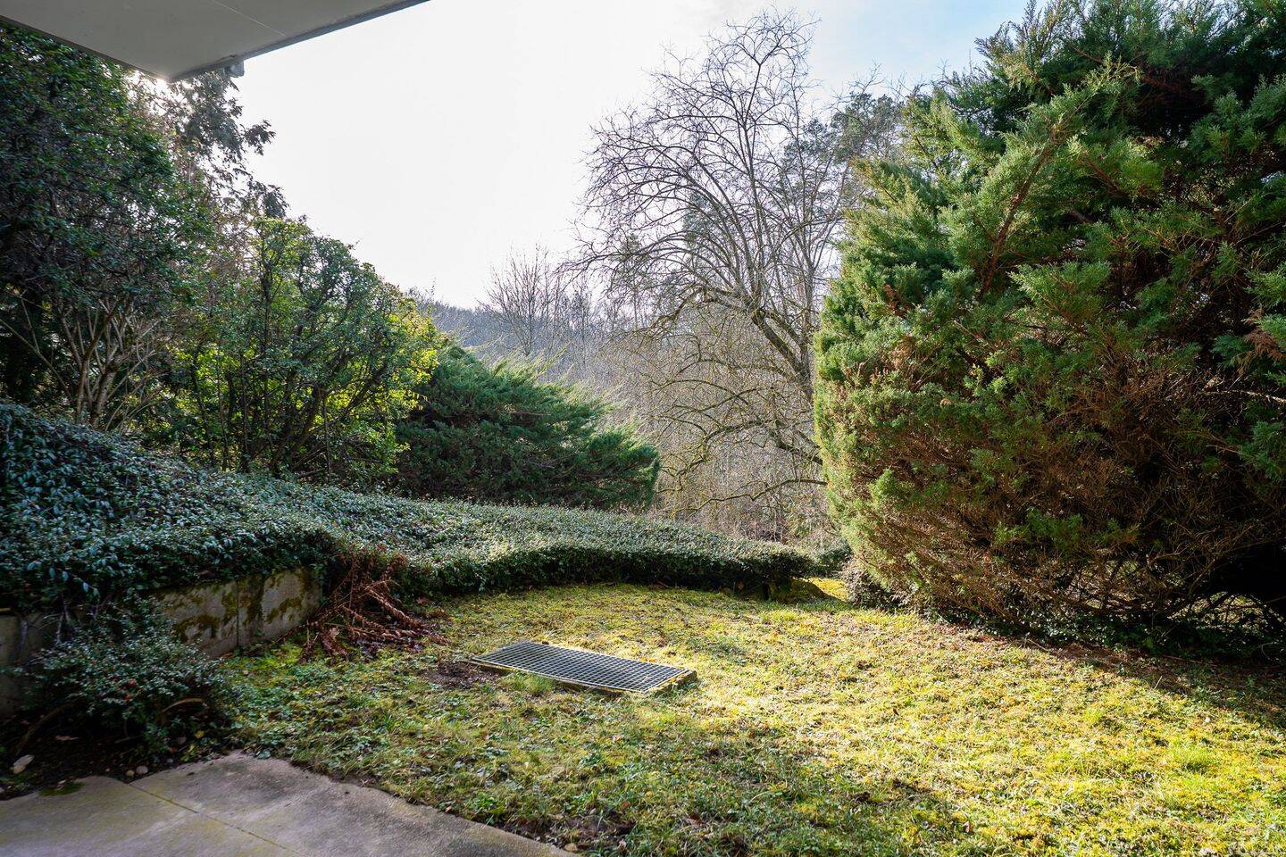 Geräumige 1-Zimmer-Wohnung mit Terrasse und Garten in S-Sonnenberg – Stuttgart – Vorschaubild 2