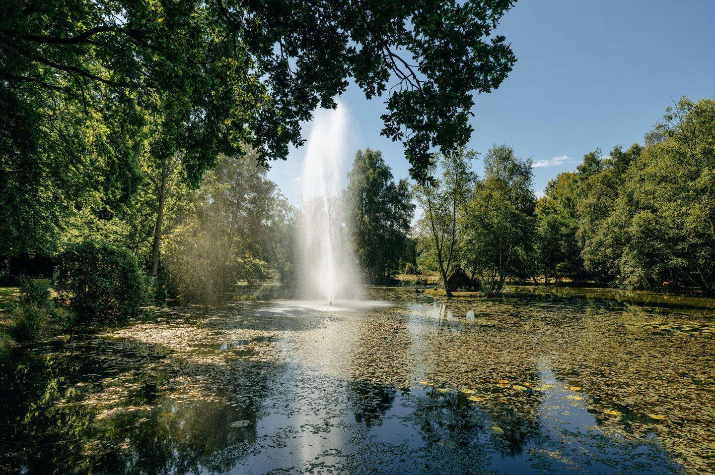 Luxus-Anwesen in der Lüneburger Heide – Munster – Bild 1 von 9