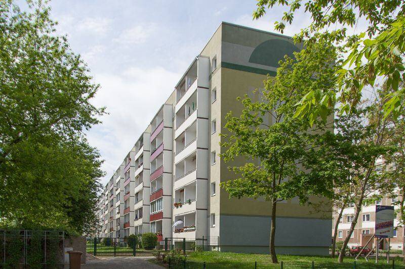 #richtigjut...ruhig und im Grünen wohnen - frisch saniert zum 01.09. – Magdeburg – Vorschaubild 2