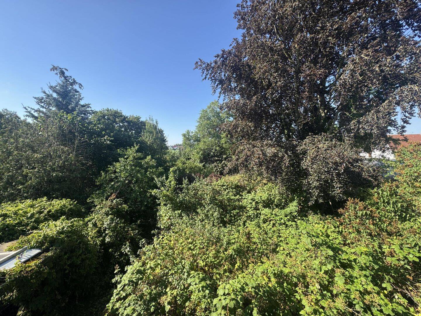 Einfamilienhaus mit viel Potenzial in Nürnberg – Nürnberg – Vorschaubild 2