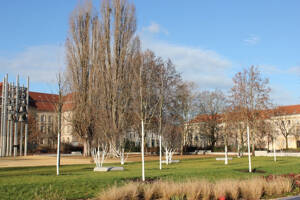 Eigentumswohnung im Herzen von Potsdam – 14467 Potsdam – Vorschaubild 3
