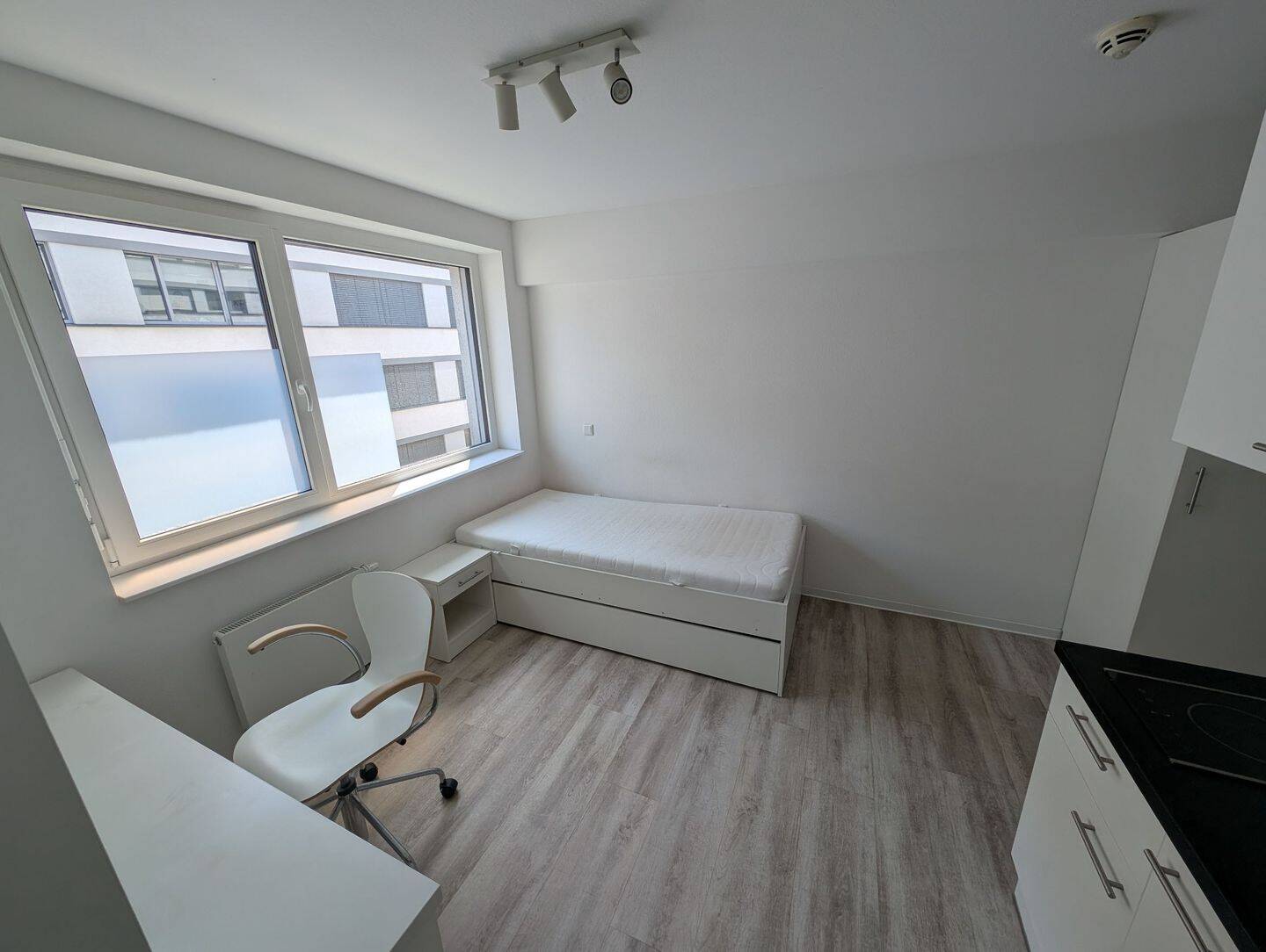 Helles, modernes Rundum-sorglos-Apartment für Studis & Azubis – Heidelberg – Vorschaubild 2