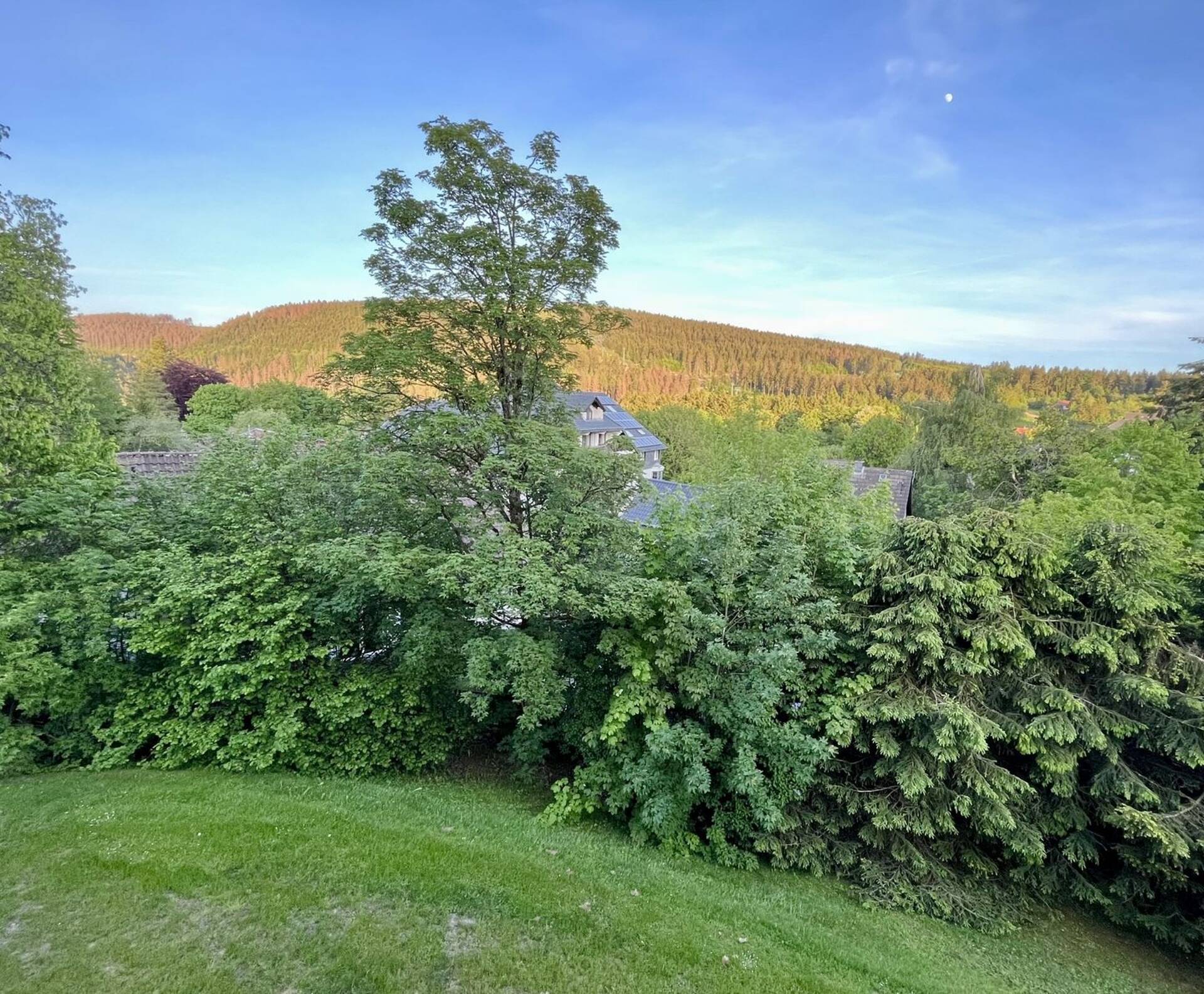 Etagenwohnung in 38644 Goslar-Hahnenklee mit 56 m² kaufen