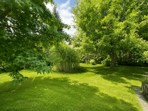 ***Freistehendes Einfamilienhaus mit großem Garten in Elsen*** – 33106 Paderborn – Vorschaubild 6