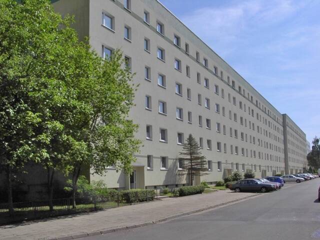 #richtigjut...ruhig und im Grünen wohnen - frisch saniert zum 01.09. – Magdeburg – Vorschaubild 3