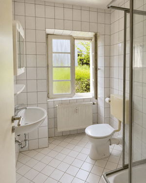 Helles 1-Zimmer-Appartement, neue Küchenzeile, Tageslichtbad und Parkplatz – 54296 Trier – Vorschaubild 5