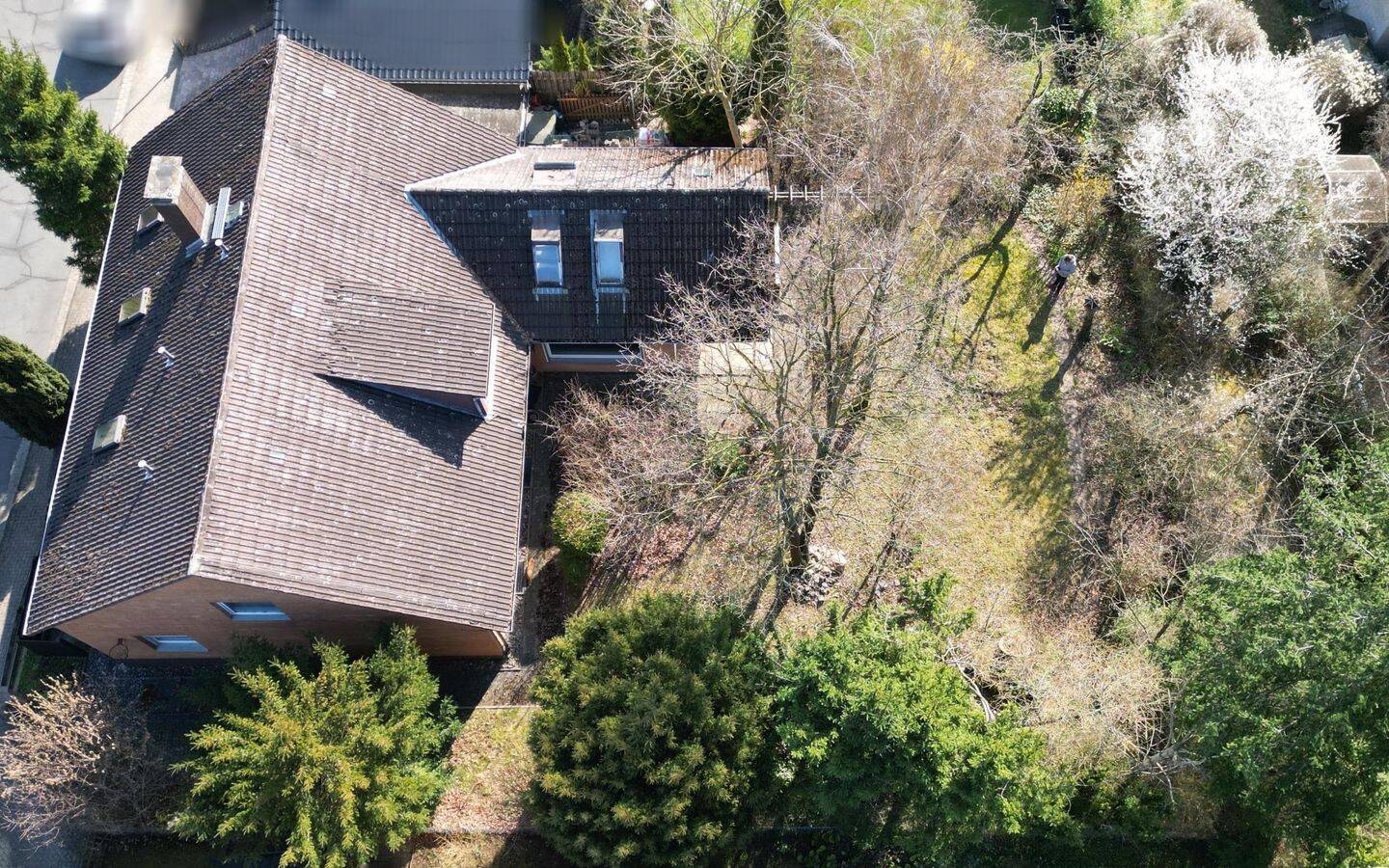 Einfamilienhaus mit Einliegerwohnung und großem Grundstück in Salzgitter-Gebhardshagen – Salzgitter – Vorschaubild 8