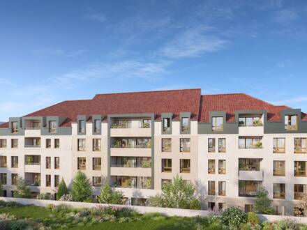 Program thumbnail