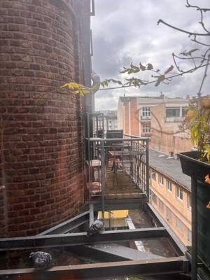 Belgisches Viertel - Altbau - – 50674 Köln – Vorschaubild 6