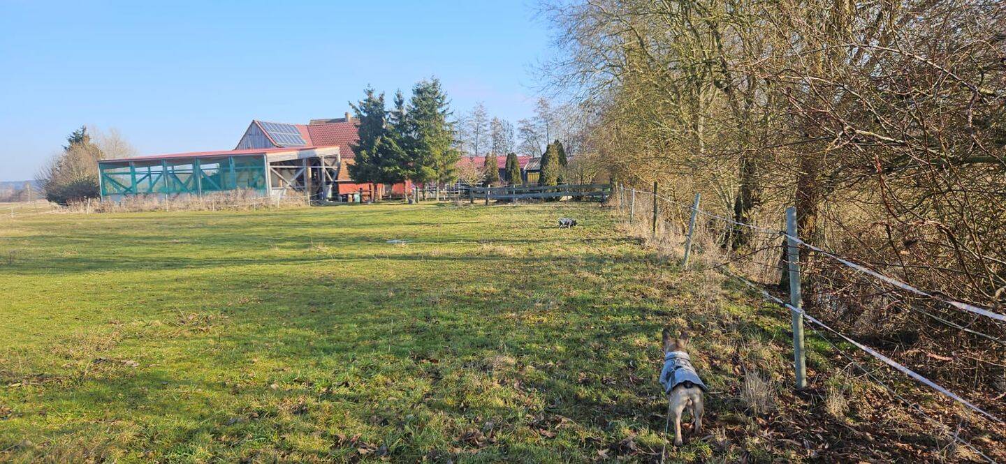 Ein Paradies für Tiere, Romantischer Reiterhof/ Bauernhof bei Schnelldorf – Schnelldorf – Vorschaubild 5