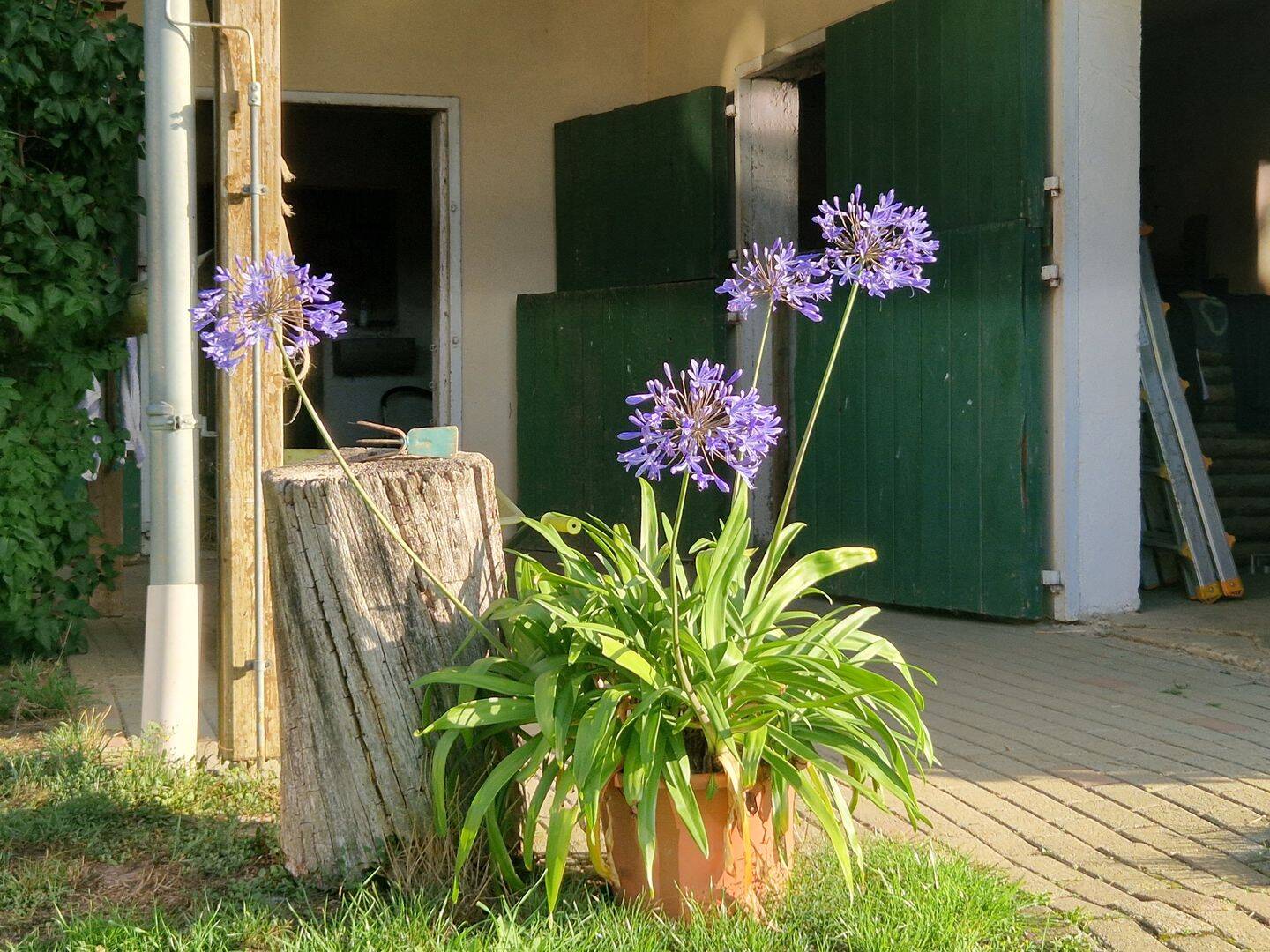Wunderschöner Pferdehof zu verkaufen Provisionsfrei in 55765 Elchweiler Pferdehaltung genehmigt – Elchweiler – Vorschaubild 9