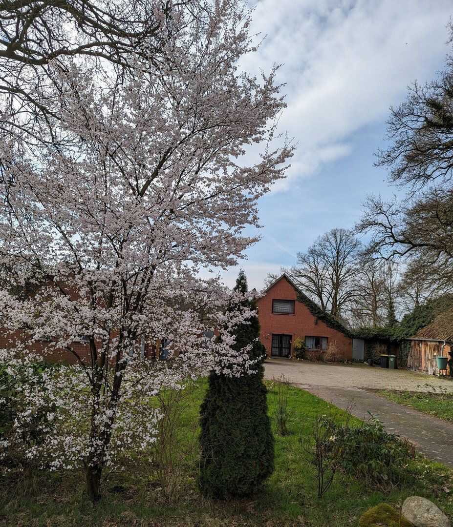 Provisionsfrei: Viel Platz - nahe Oldenburg. 2 Wohnungen
