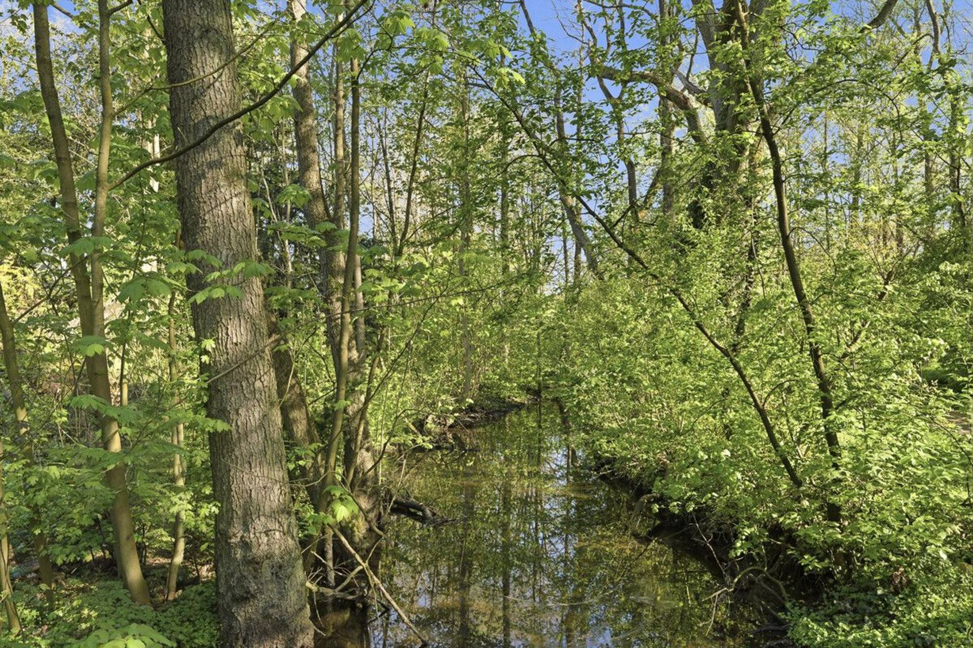 Rohdachboden in 21509 Glinde mit 98 m² kaufen