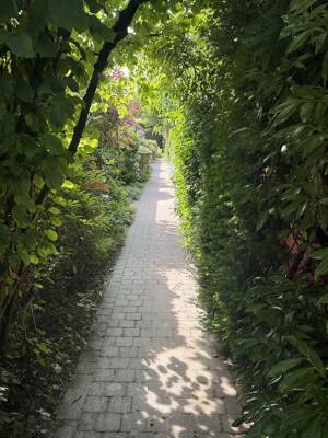Gepflegtes Einfamilienhaus im Gartenhof-Stil mit hoher Privatssphäre - modernisiert und bezugsbereit – 48165 Münster – Vorschaubild 5