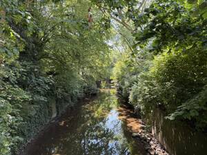 Blick über das Kreuzviertel - Maximilianstraße an der Aa (WE 9) – 48147 Münster – Vorschaubild 2