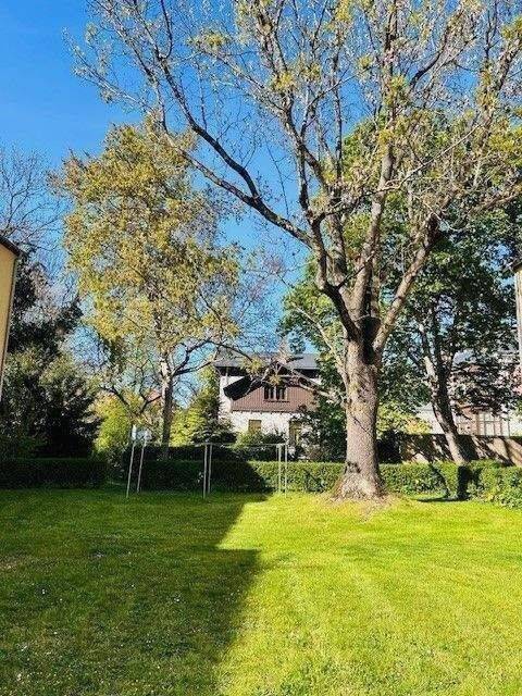 wohnen, wo Ruhe auf Natur trifft! – Leipzig – Vorschaubild 4