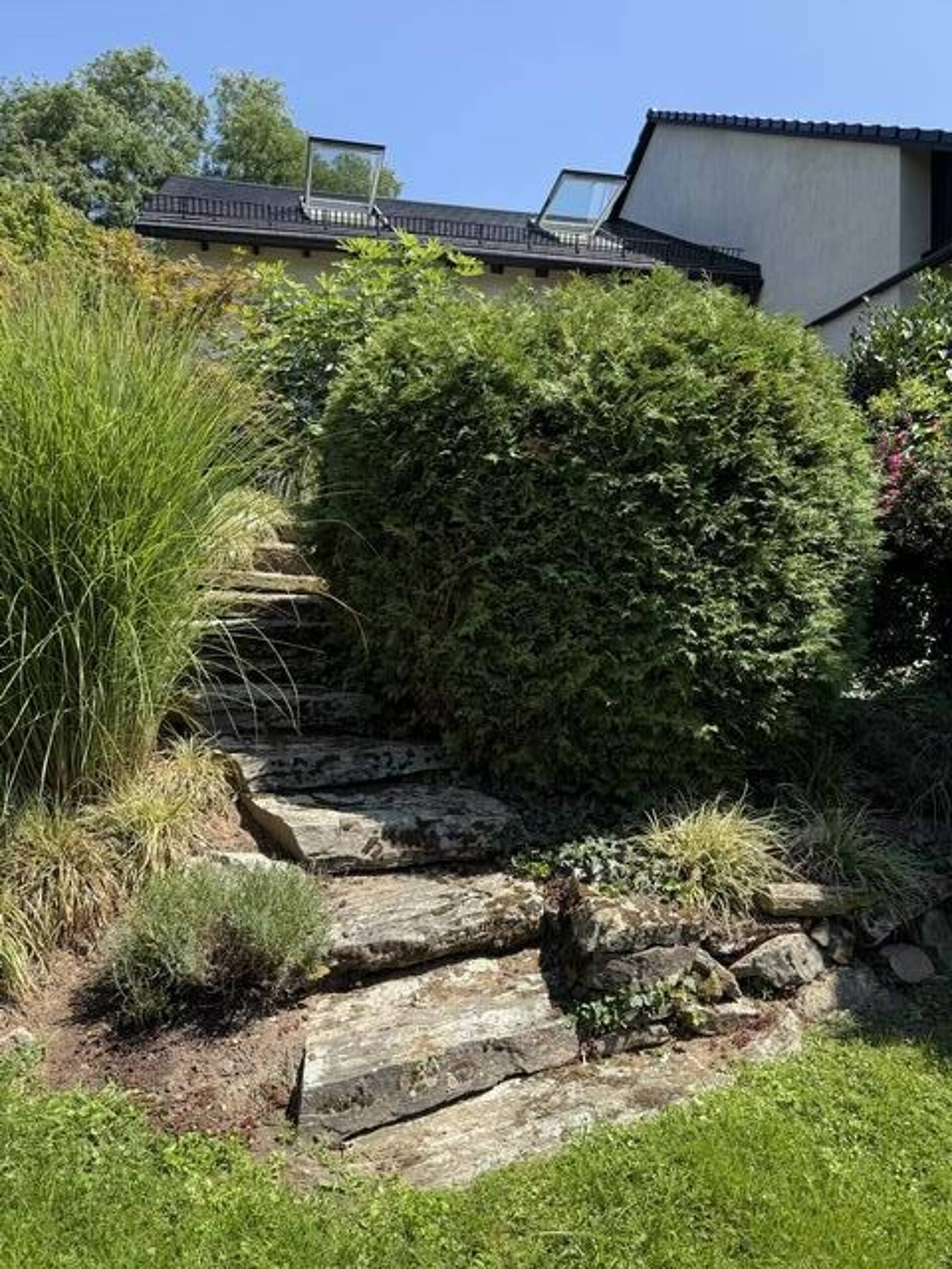 Villa in 63755 Alzenau mit 320 m² kaufen