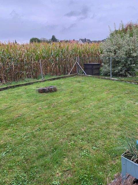 freundliche 2-Zi. EG-Whg. mit Terrasse/Garten + Carport für max. 1 Person – Kelheim – Vorschaubild 3