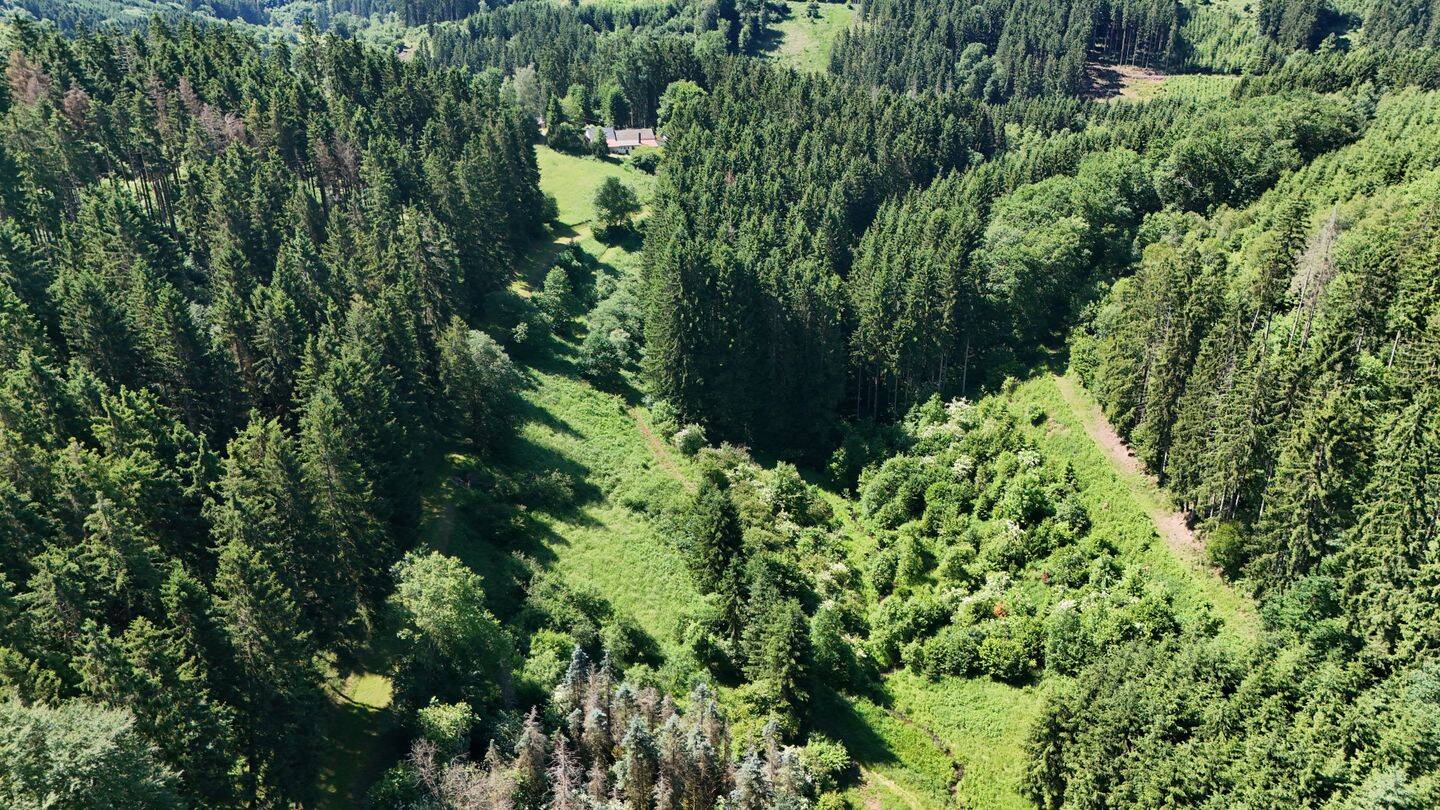 Seltenes Juwel, in einmaliger Alleinlage mitten im Wald, autarkes Einfamilienhaus mit Nebengebäuden und ein gemütliches Holzhaus auf großem Grundstück – Seffern – Vorschaubild 5