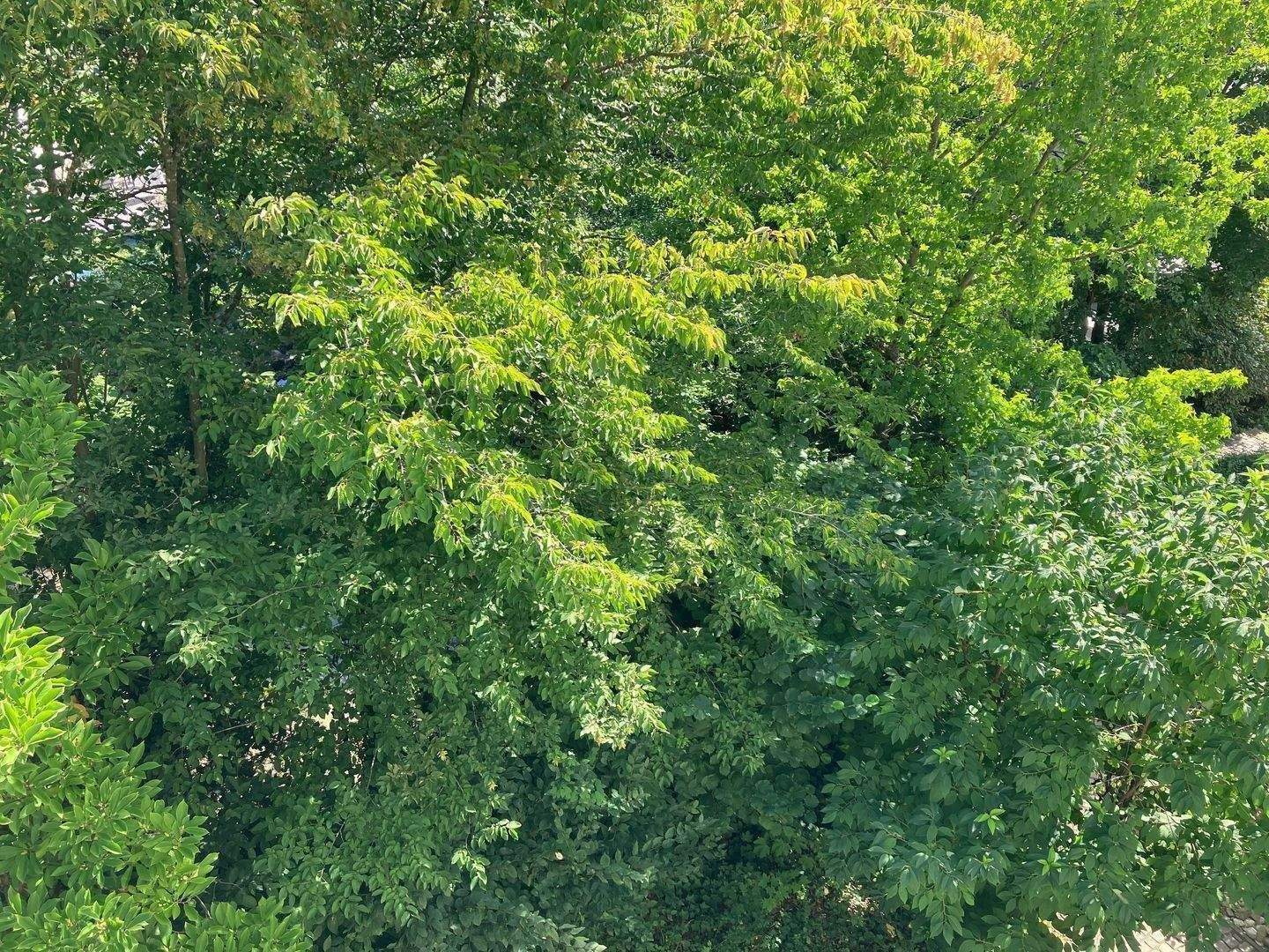 TRAUMLAGE - Helle 2-Zimmer-Maisonette-Wohnung, EBK, Balkon - 91054 Erlangen-Burgberg – Erlangen – Vorschaubild 3