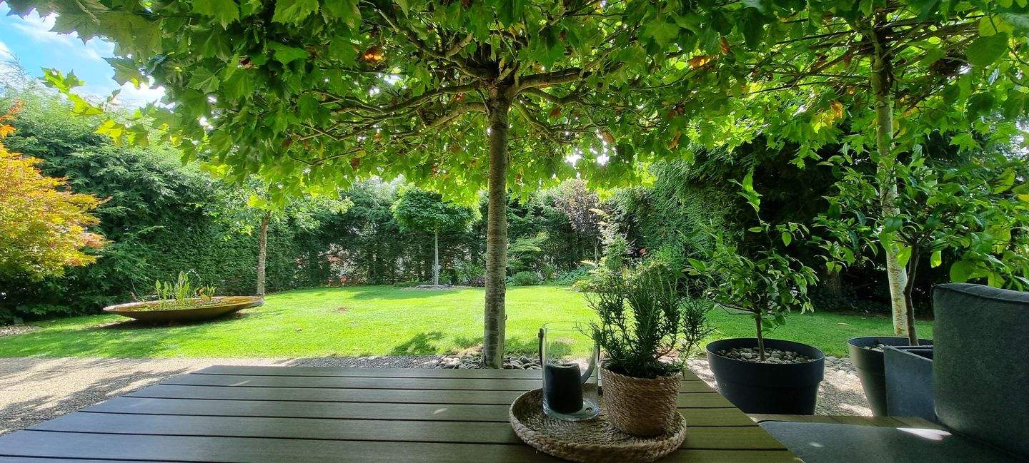 *** reserviert *** Wunderschönes Haus in einzigartiger Lage von Schwalbach – Schwalbach – Bild 1 von 9