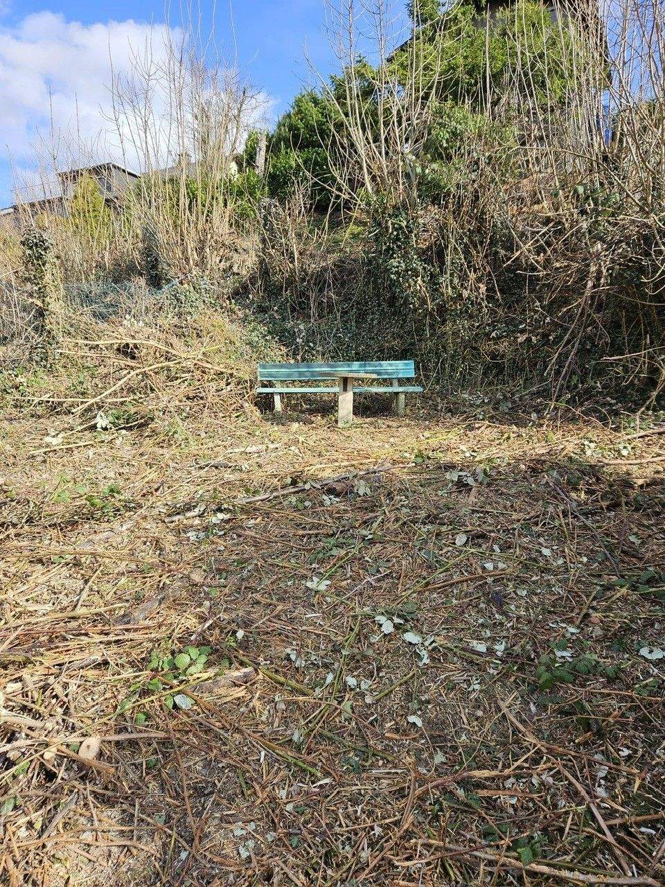 Feriendomizil im Sauerland - in ruhiger Lage von Bestwig. Aus Krankheitsgründen zum Vorzugspreis! – Bestwig – Vorschaubild 6
