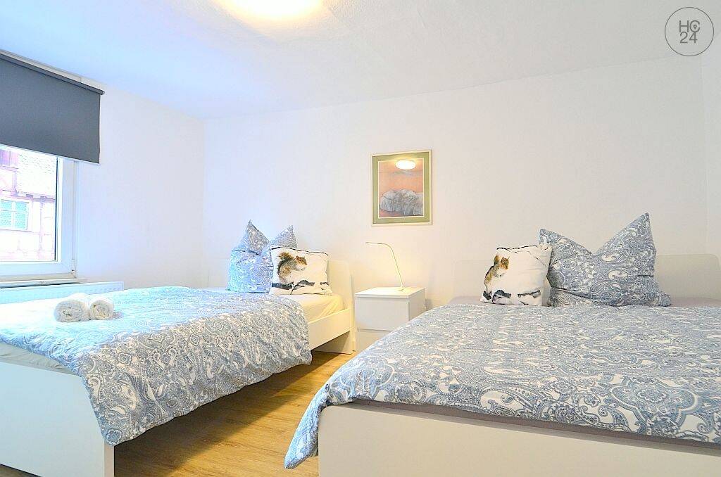 Möblierte 2-Zimmer-Wohnung mit WLAN im Herzen der Innenstadt – Nürnberg – Vorschaubild 2