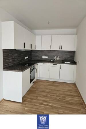 Eindrucksvolle Terrassenwohnung mit EBK in der Dresdner Innenstadt! – 1067 Dresden – Vorschaubild 3