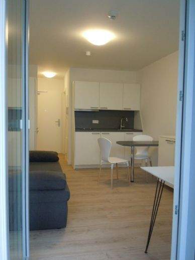 *Studium*Ausbildung*Praktikum* - möbliertes Appartement, Küche mit Dunstabzug, Terrasse – Ingolstadt – Vorschaubild 8