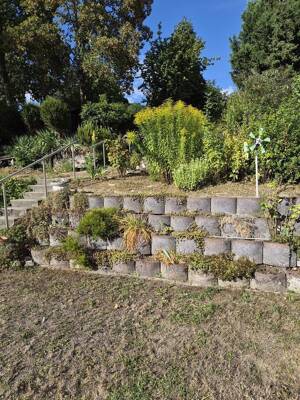 Stadtnahe, idyllische Terassen/Gartenwohnung in ruhiger Weinberglage – 55129 Mainz – Vorschaubild 6