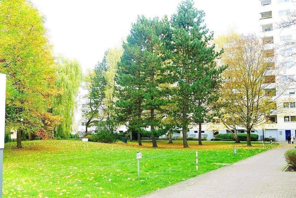 Käuferprovisionsfrei: vermietete + ruhige 2-Zi.-Wohnung + Balkon + Lift in LICHTERFELDE – Berlin – Vorschaubild 8