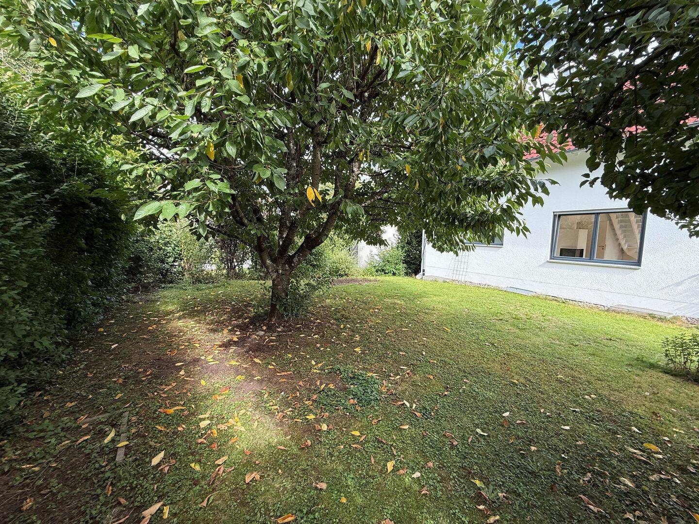 Einziehen und Wohlfühlen - modernes und helles Einfamilienhaus mit großer Garage – Kusterdingen – Vorschaubild 2