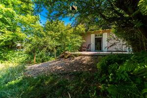 Es grünt so schön und Grün unterm Killesberg... Viel Platz mit viel Garten und sooo viel Charme... – 70469 Stuttgart – Vorschaubild 5