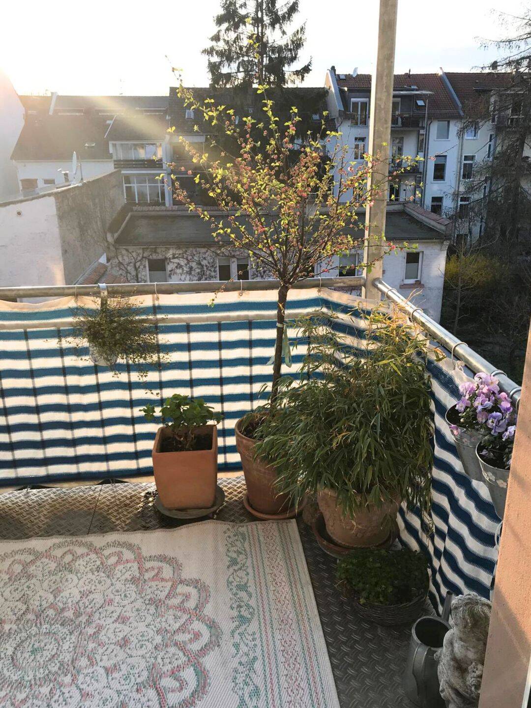 HISTORISCHER CHARME TRIFFT GEFRAGTE LAGE - 3-Zimmer-Altbauwohnung mit Balkon & Garage in Darmstadt – Darmstadt – Vorschaubild 5