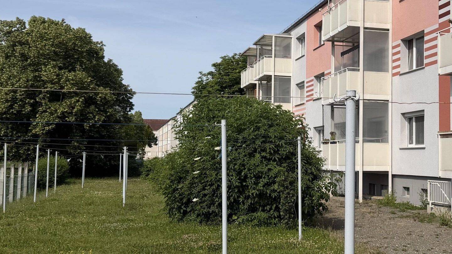 Anleger aufgepasst! – Weißenfels – Vorschaubild 7