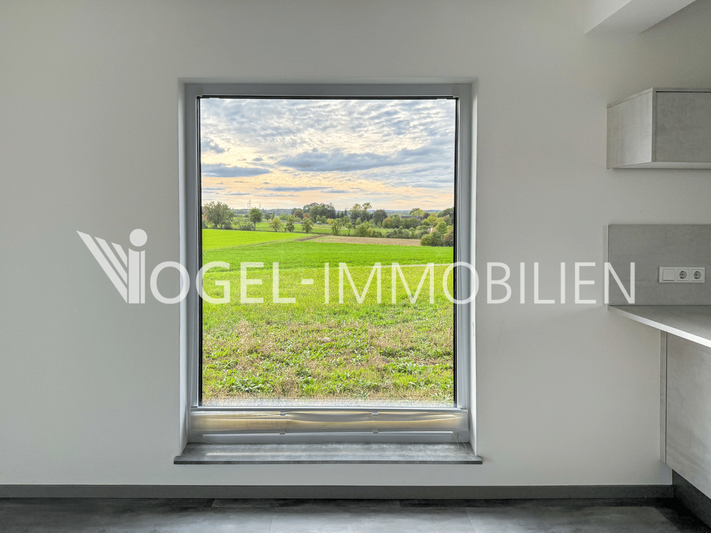 Modernes Wohnglück im Grünen - Neubau-Einfamilienhaus mit großzügigem Grundstück – Hemmersheim – Bild 1 von 9