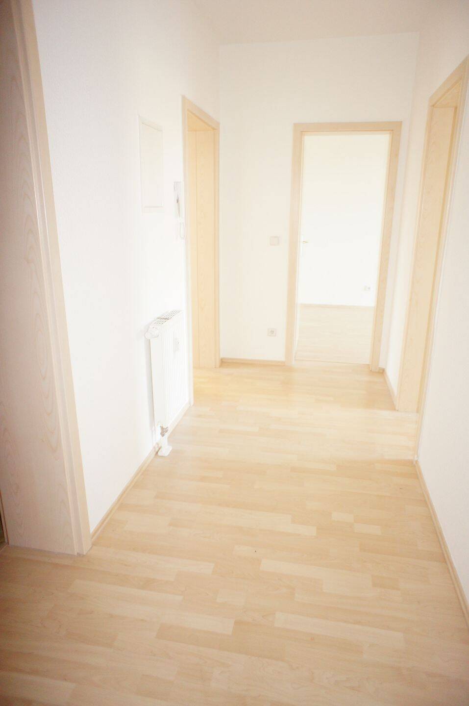 Mieter ab 1.8. gesucht - Küche am Wohnzimmer -sonniger Balkon u.v.m. – Chemnitz – Vorschaubild 4