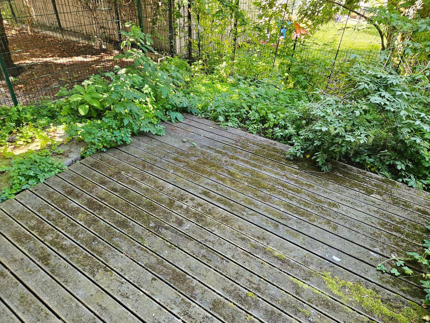 Frisch saniert: Terrassenwohnung im Hinterhaus – Magdeburg – Vorschaubild 4