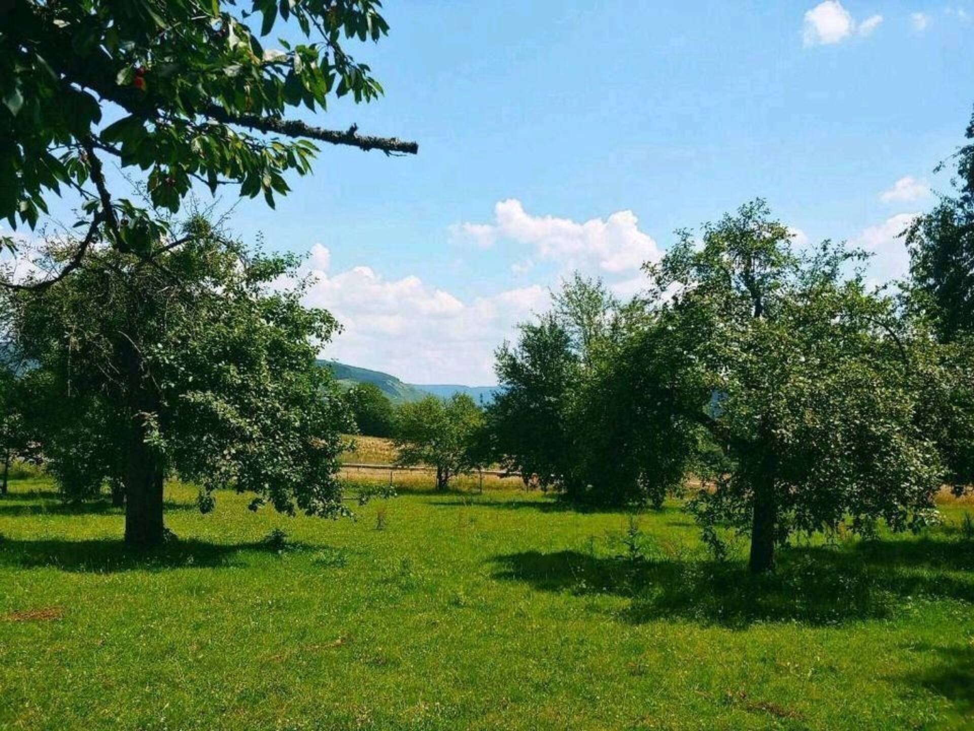 Einfamilienhaus in 54338 Schweich mit 141,48 m² kaufen