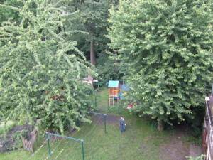 Wohlfühlwohnung: schöne 2-Zimmer-Dachgeschosswohnung – 44339 Dortmund – Vorschaubild 3