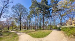 JETZT KAUFNEBENKOSTEN EINSPAREN! GROßZÜGIGES 1 ZI. APARTMENT IN GRÜNDERZEITVILLA - IN RUHIGER LAGE – Dornblüthstraße 26, 1277 Dresden – Vorschaubild 7